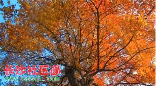 渮Ļ@~